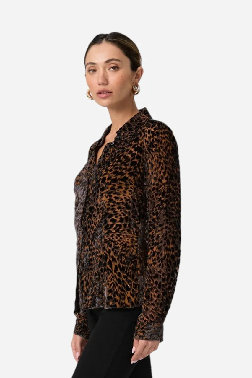 Paige Desano Shirt Landslide